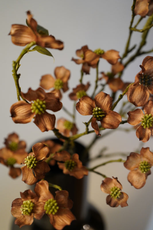 Kunstblume Cornus