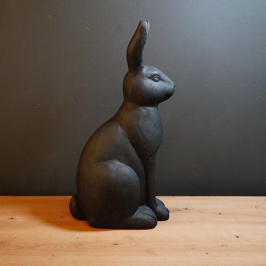Hase schwarz