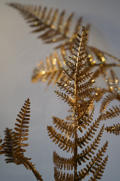 Kunstblatt Arachniodes