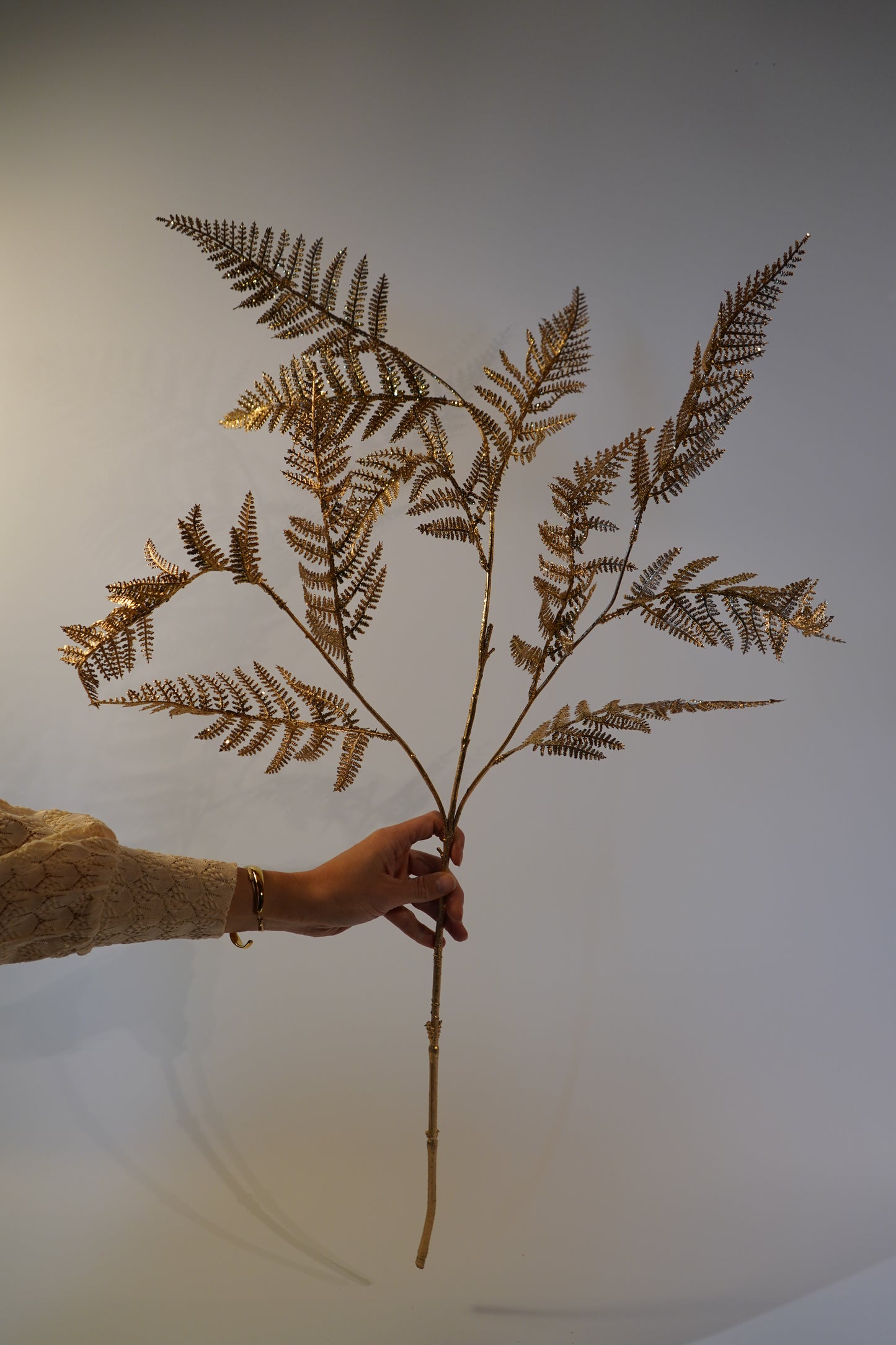 Kunstblatt Arachniodes