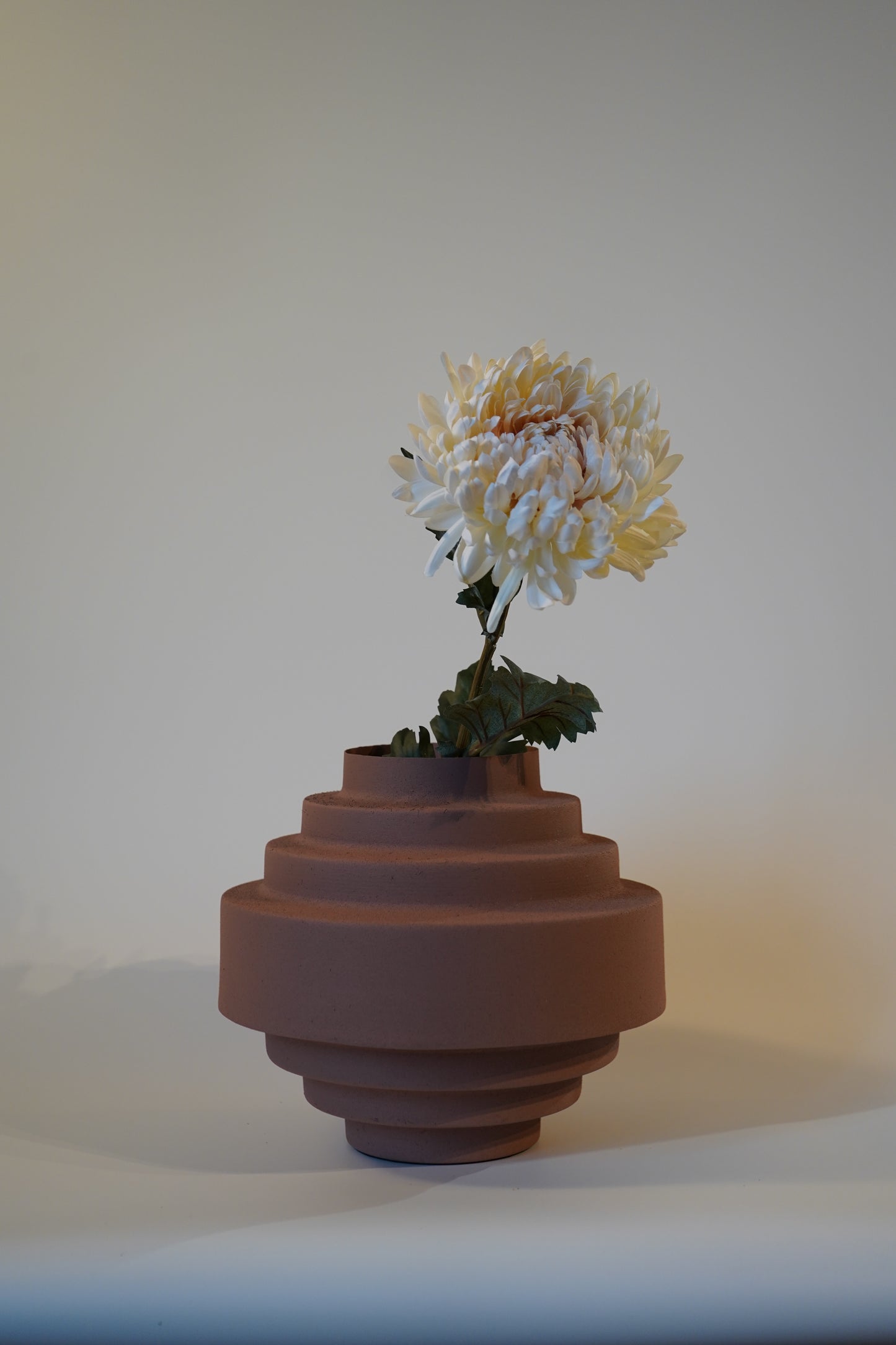 Vase Rana