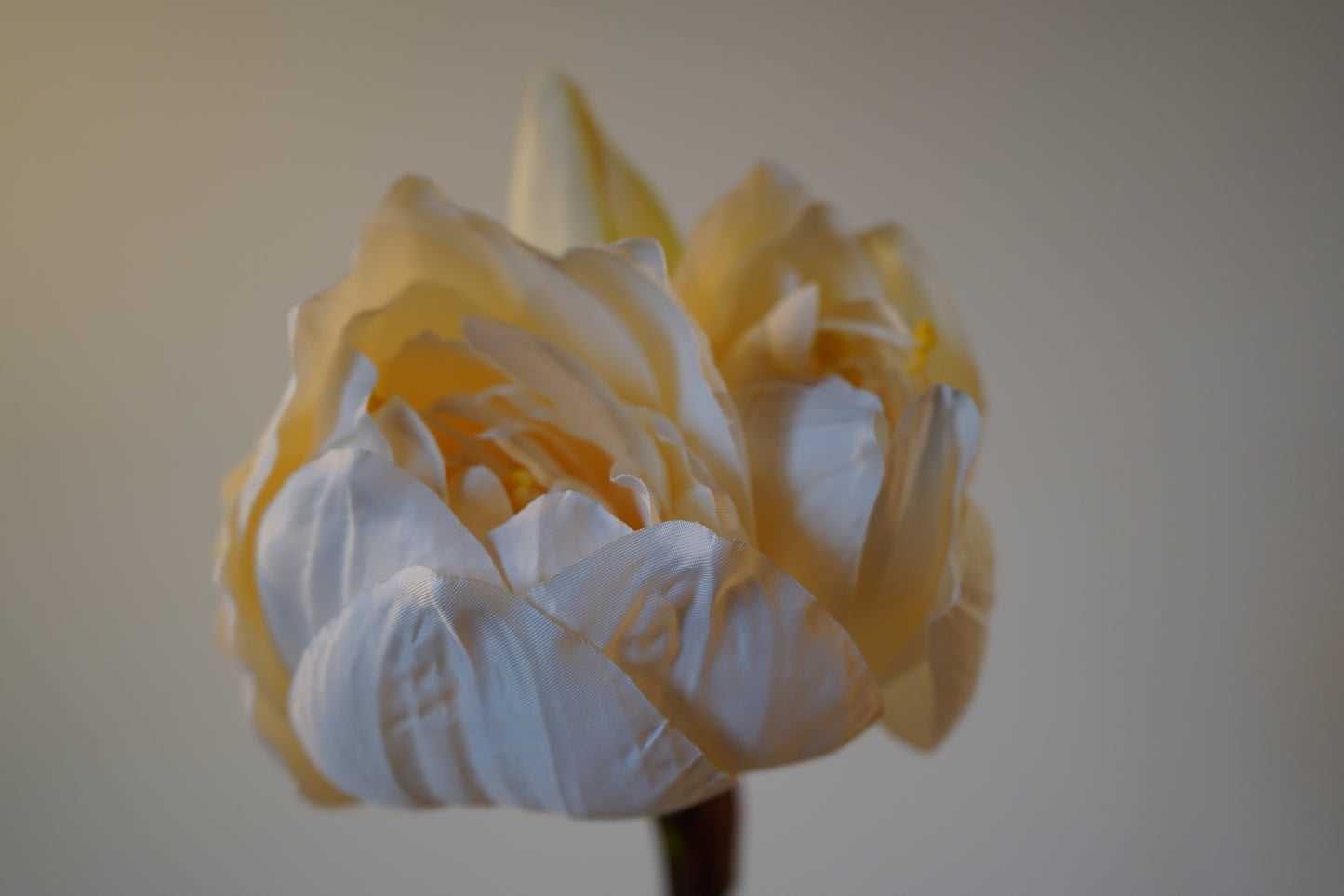 Kunstblume Amaryllis