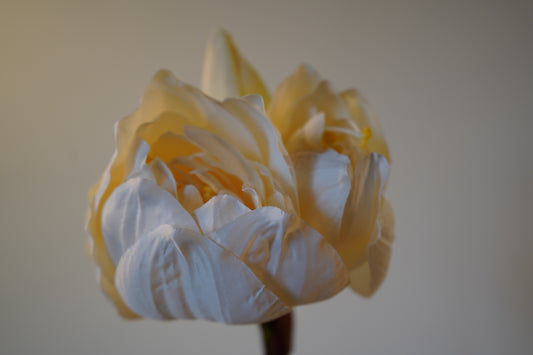 Kunstblume Amaryllis