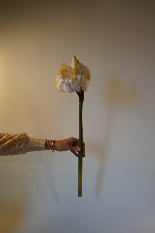 Kunstblume Amaryllis