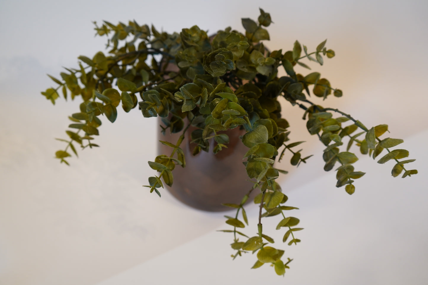 Kunstblume Eucalyptus