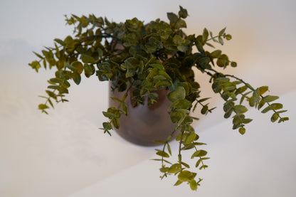 Kunstblume Eucalyptus