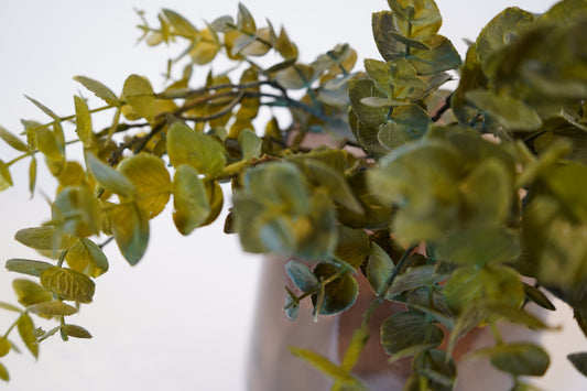 Kunstblume Eucalyptus