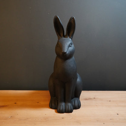 Hase schwarz