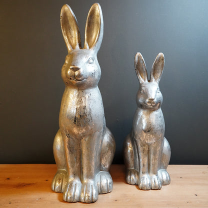 Hase Silber